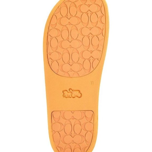 COACH Udele Sport Pool Slides Snowy Bear Chalk/Orange Women's Various Sizes NEW - Picture 6 of 8